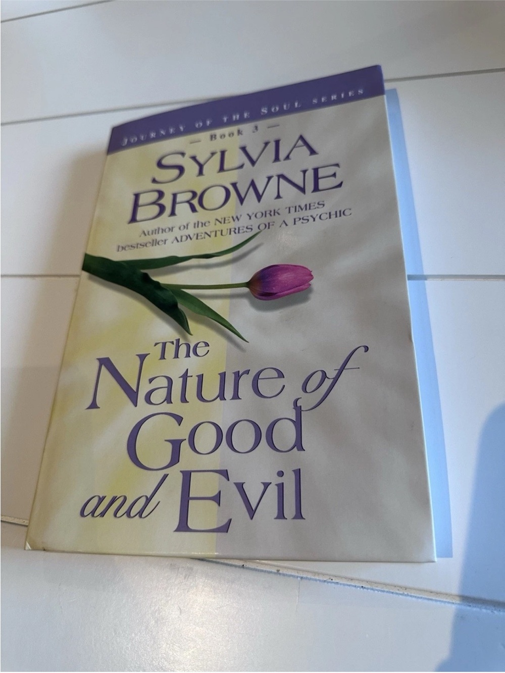 📚4 for $25 📚1st Edition THE NATURE OF GOOD AND EVIL by Sylvia Browne